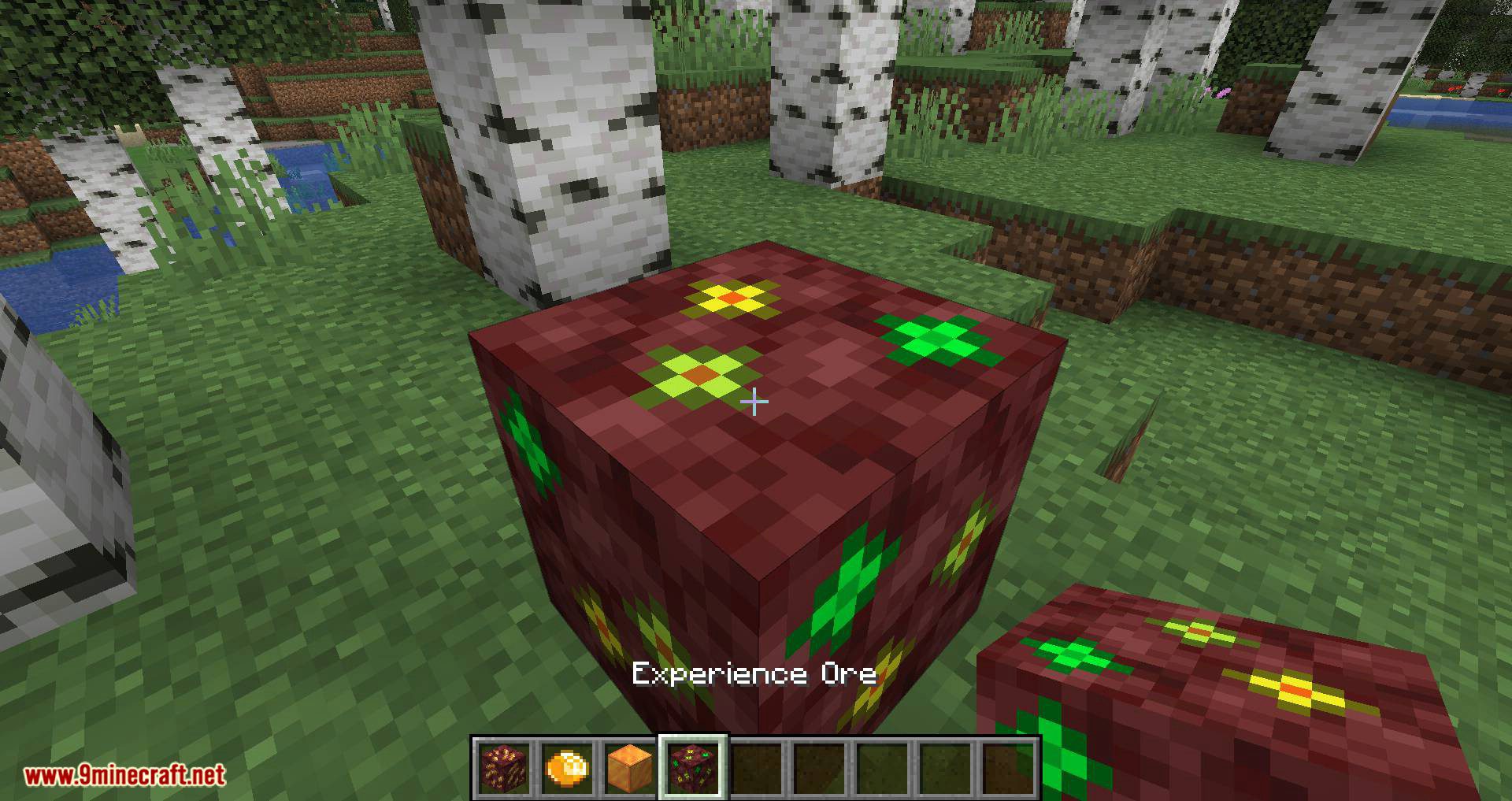 More Ore in ONE mod for minecraft 09