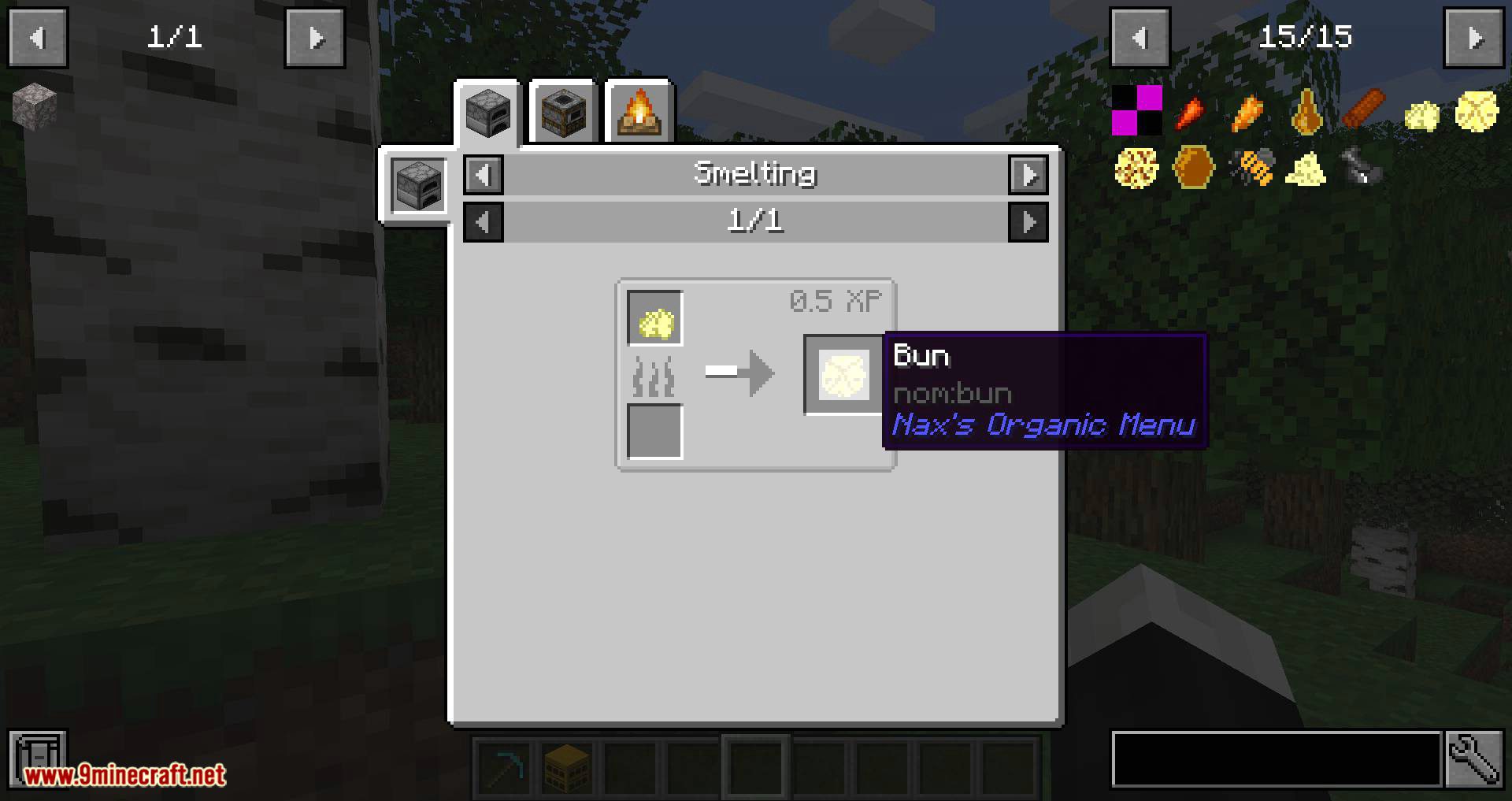 NaxsOrganicMenu mod for minecraft 06