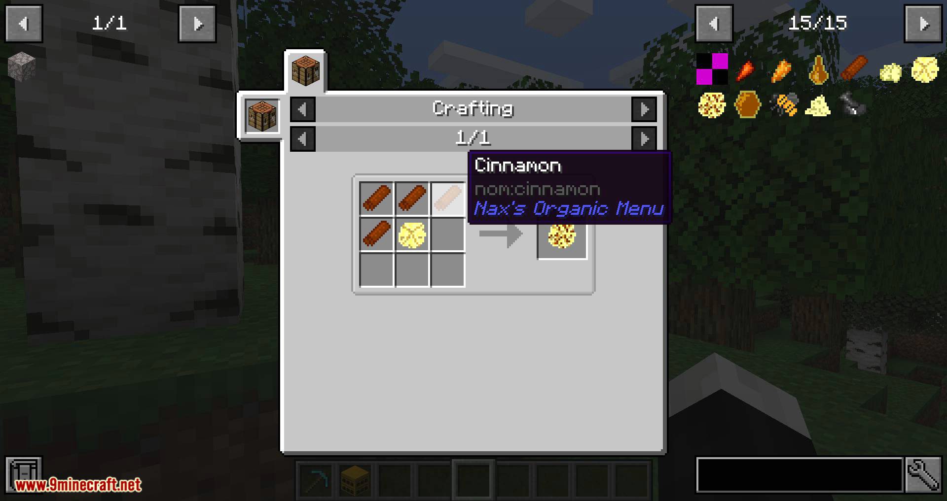 NaxsOrganicMenu mod for minecraft 07