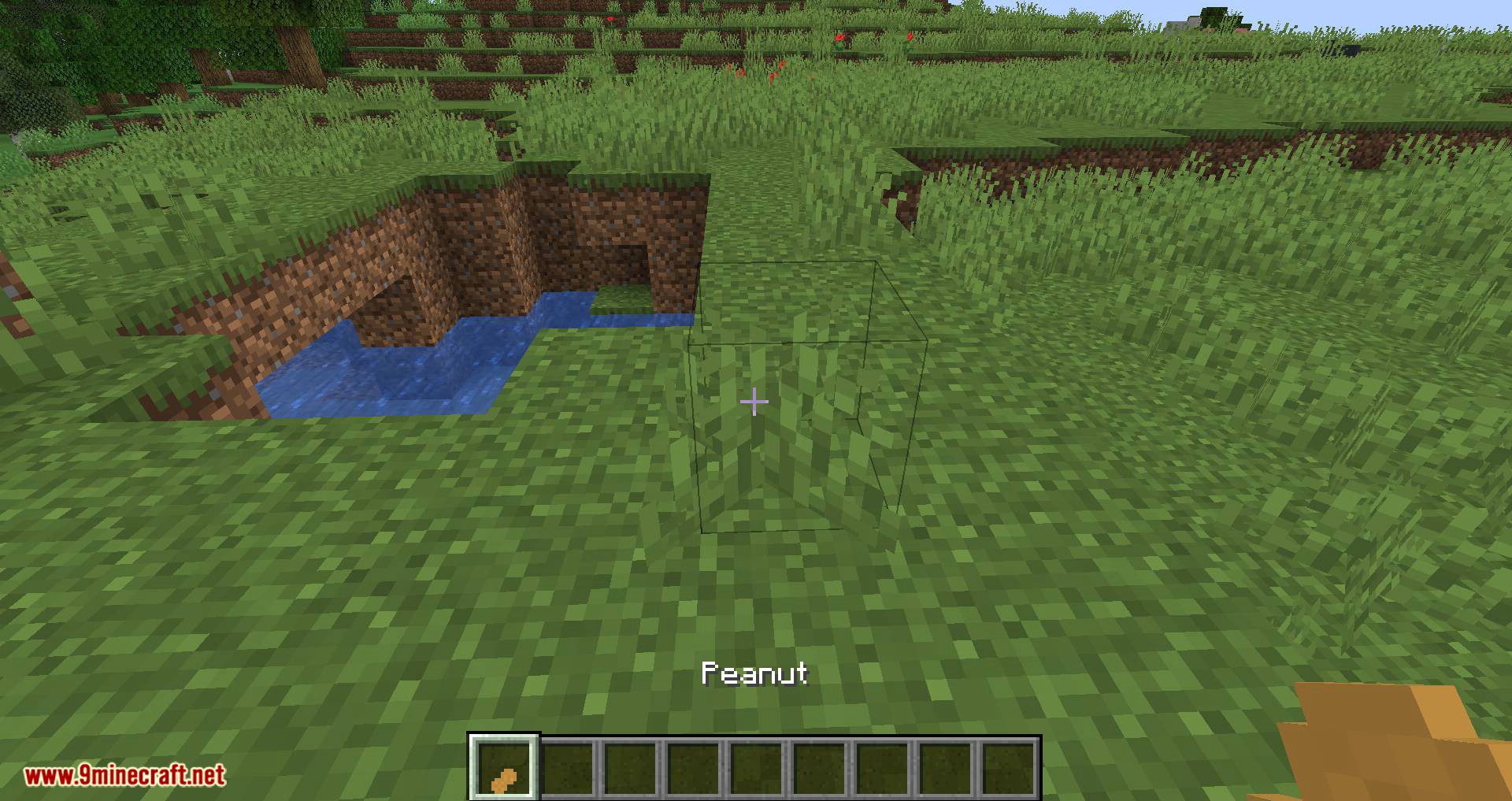 Peanuts! mod for minecraft 01