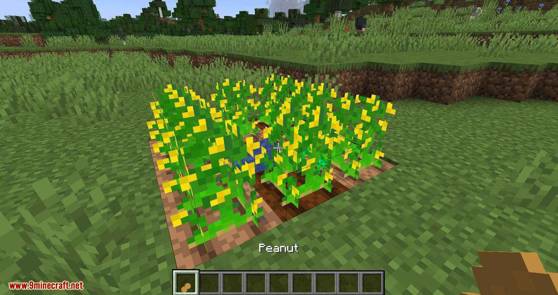 Peanuts! mod for minecraft 03