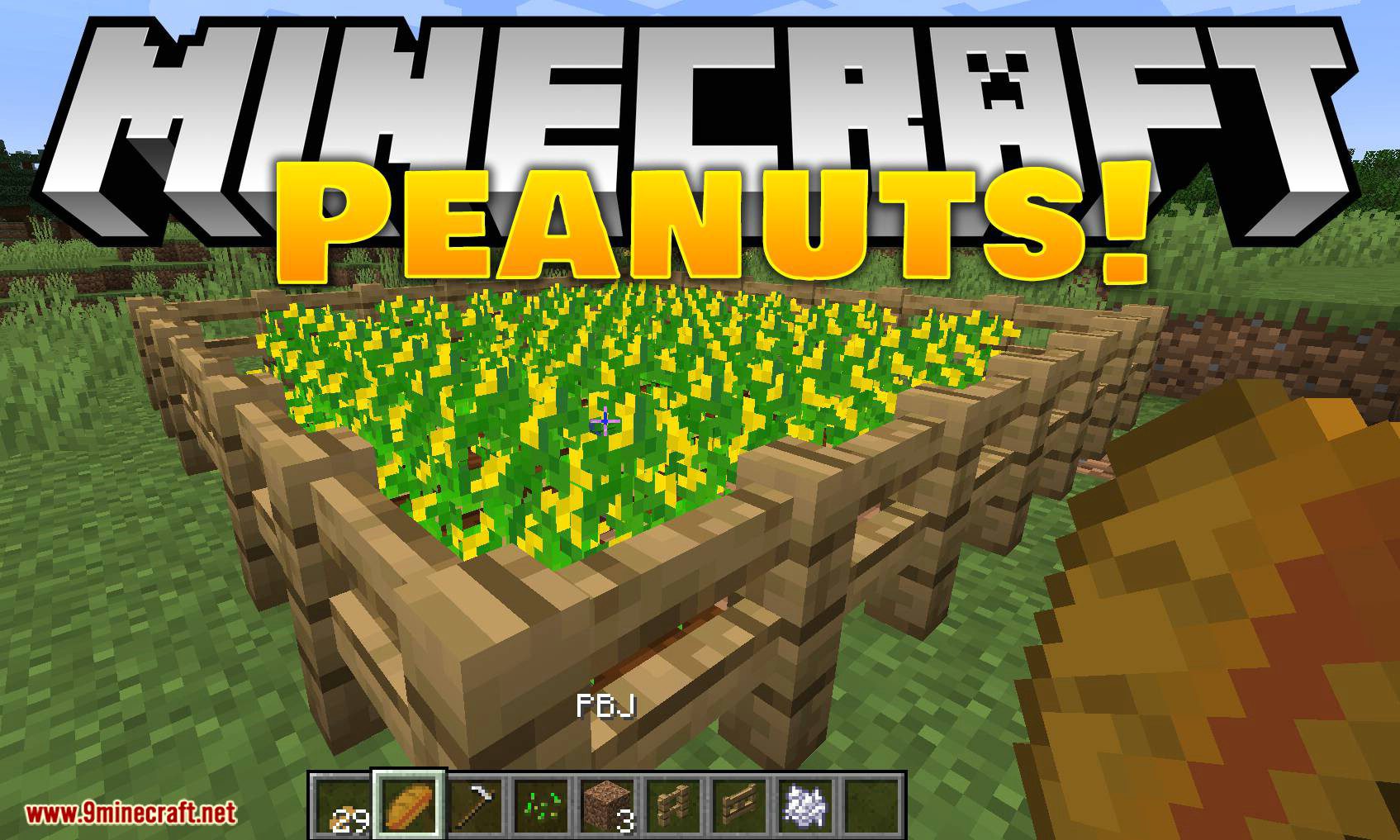 Peanuts! mod for minecraft logo