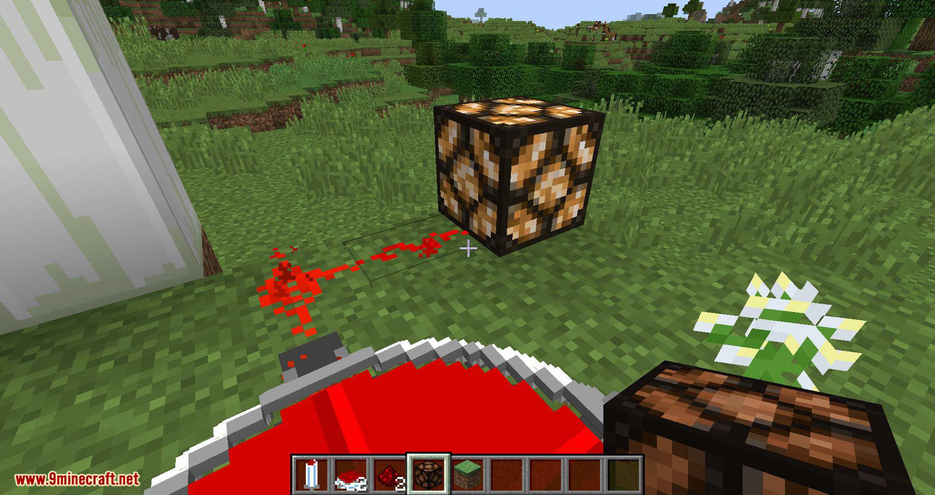 Portal Blocks mod for minecraft 12