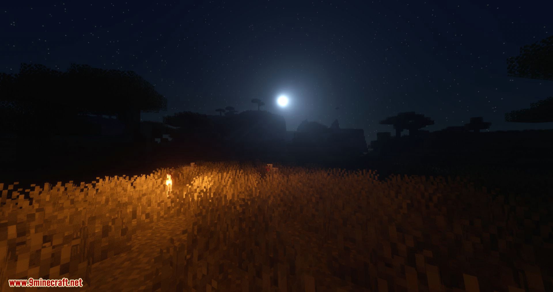 Voyager Shader for minecraft 12