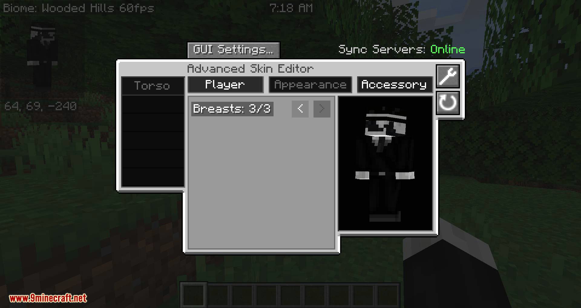 Advanced Skin Customization mod for minecraft 02