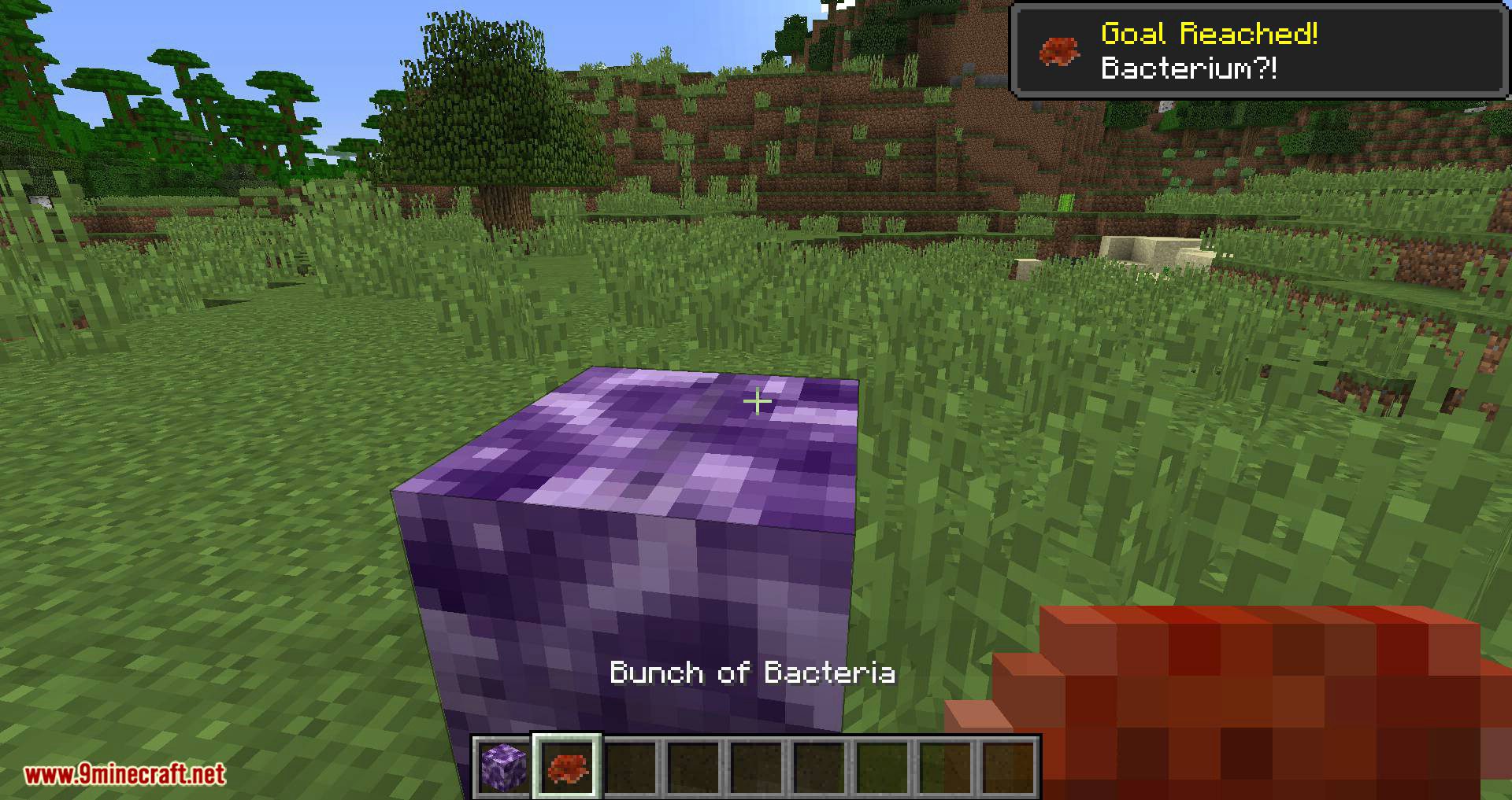 Bacteria mod for minecraft 02