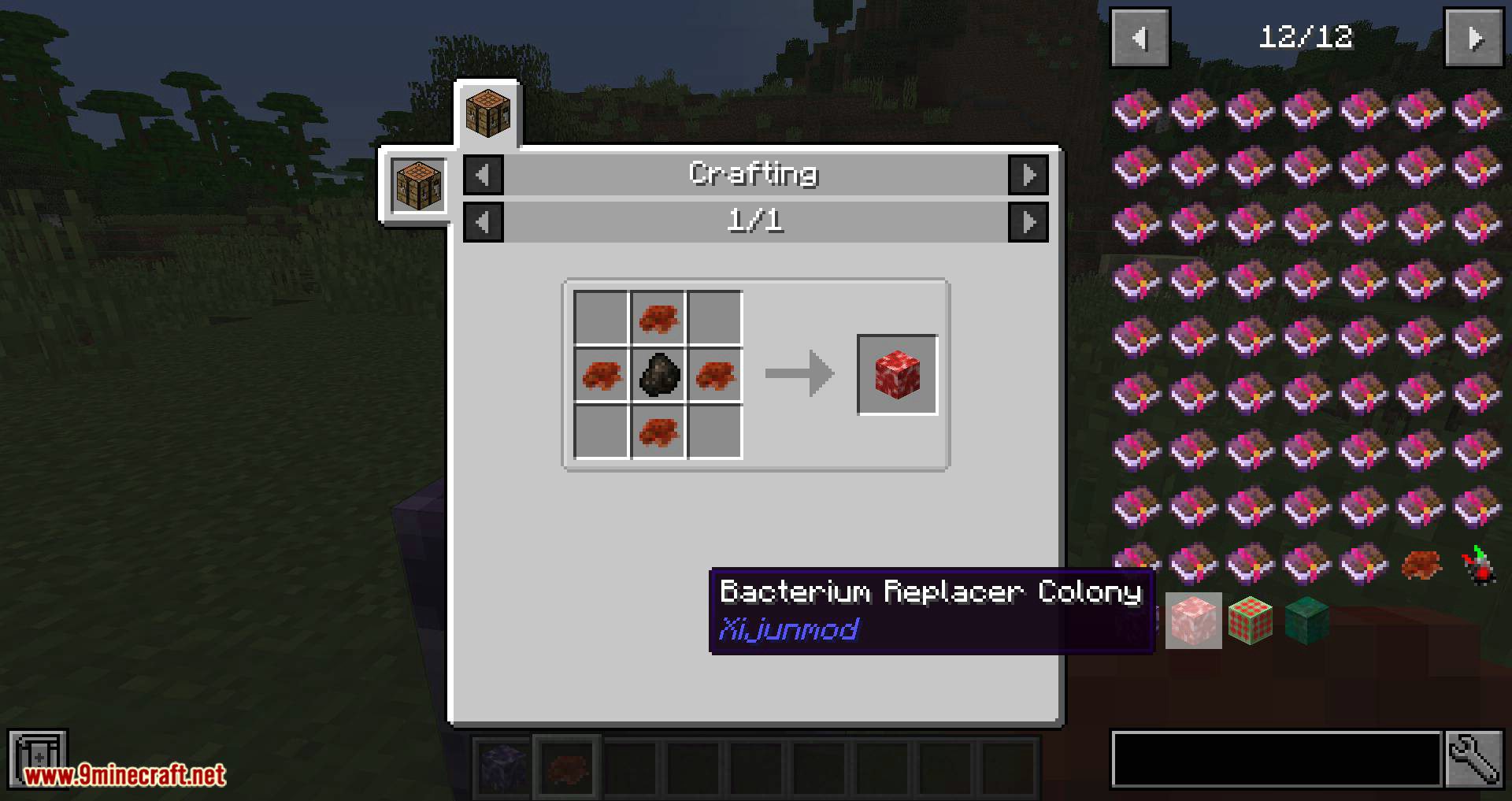 Bacteria mod for minecraft 04