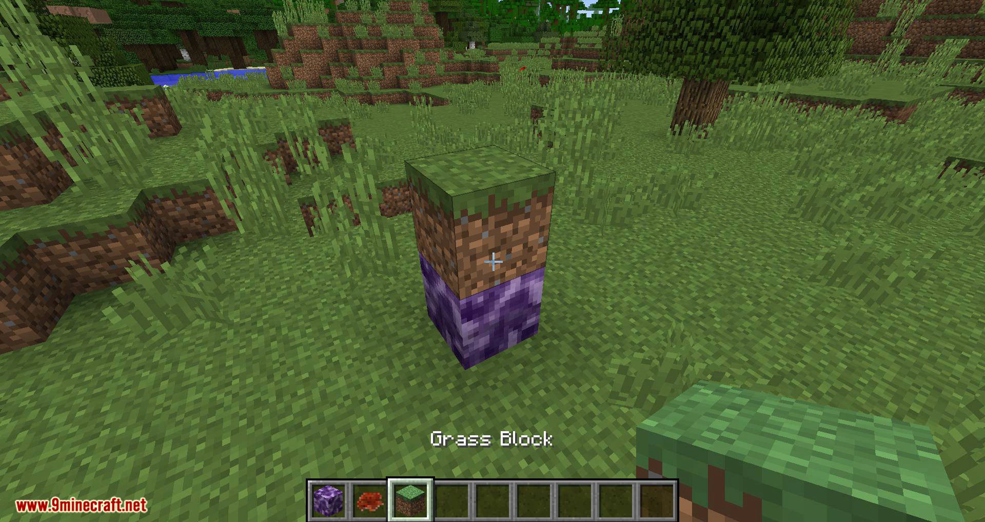 Bacteria mod for minecraft 06