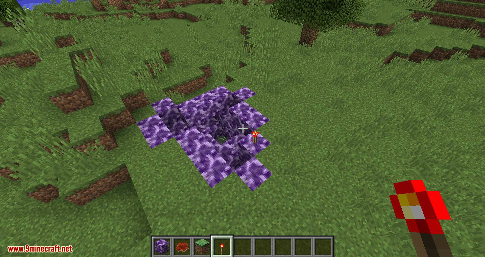 Bacteria mod for minecraft 08