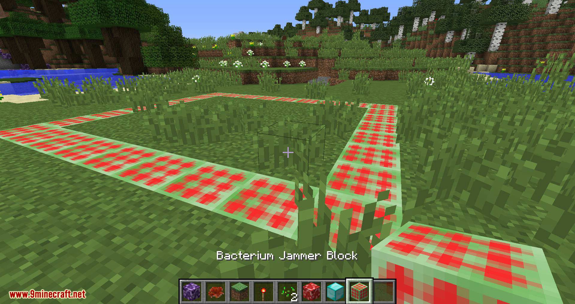 Bacteria mod for minecraft 11