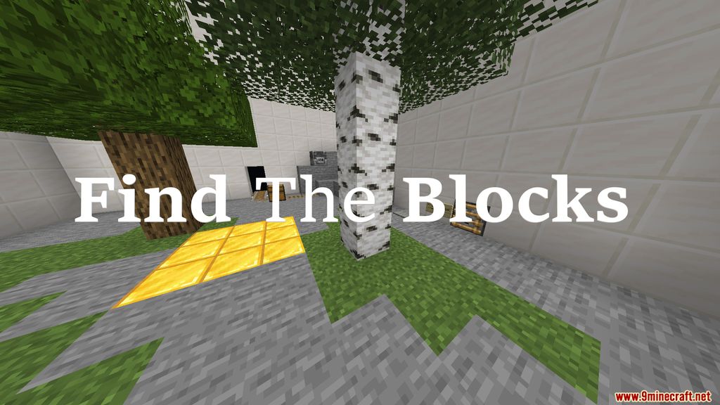 Find The Blocks Map Thumbnail
