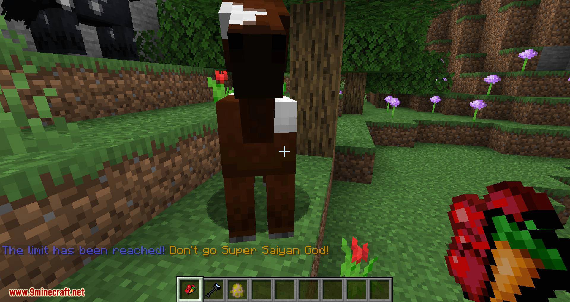 Horse Modifiers mod for minecraft 06