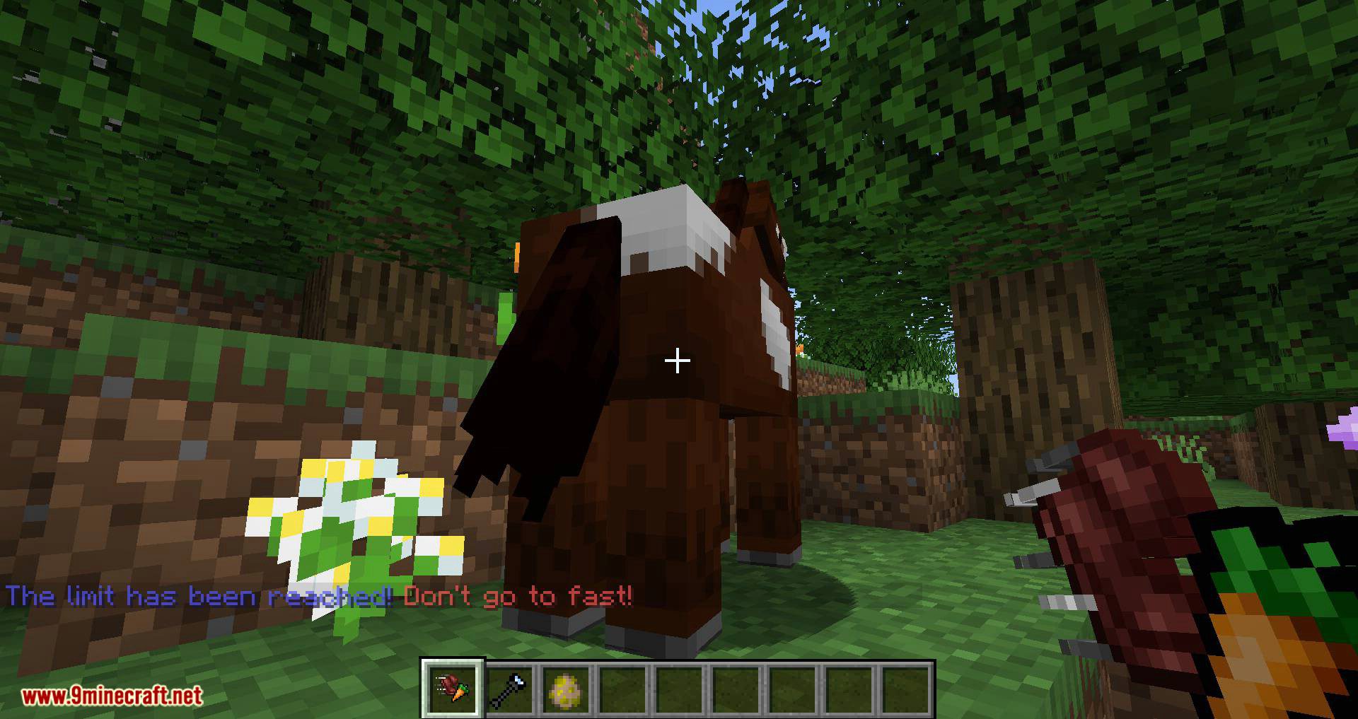 Horse Modifiers mod for minecraft 07