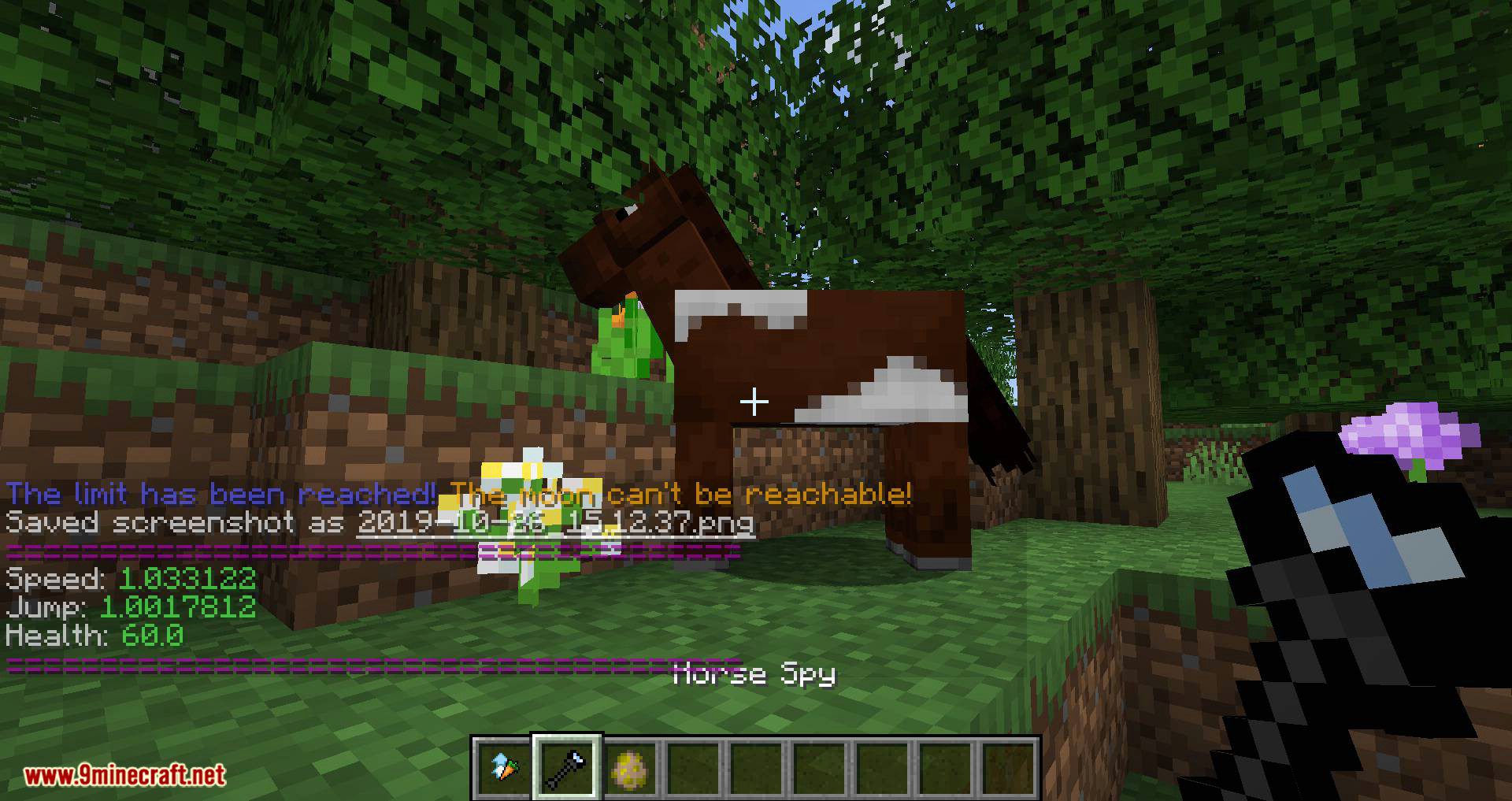 Horse Modifiers mod for minecraft 09
