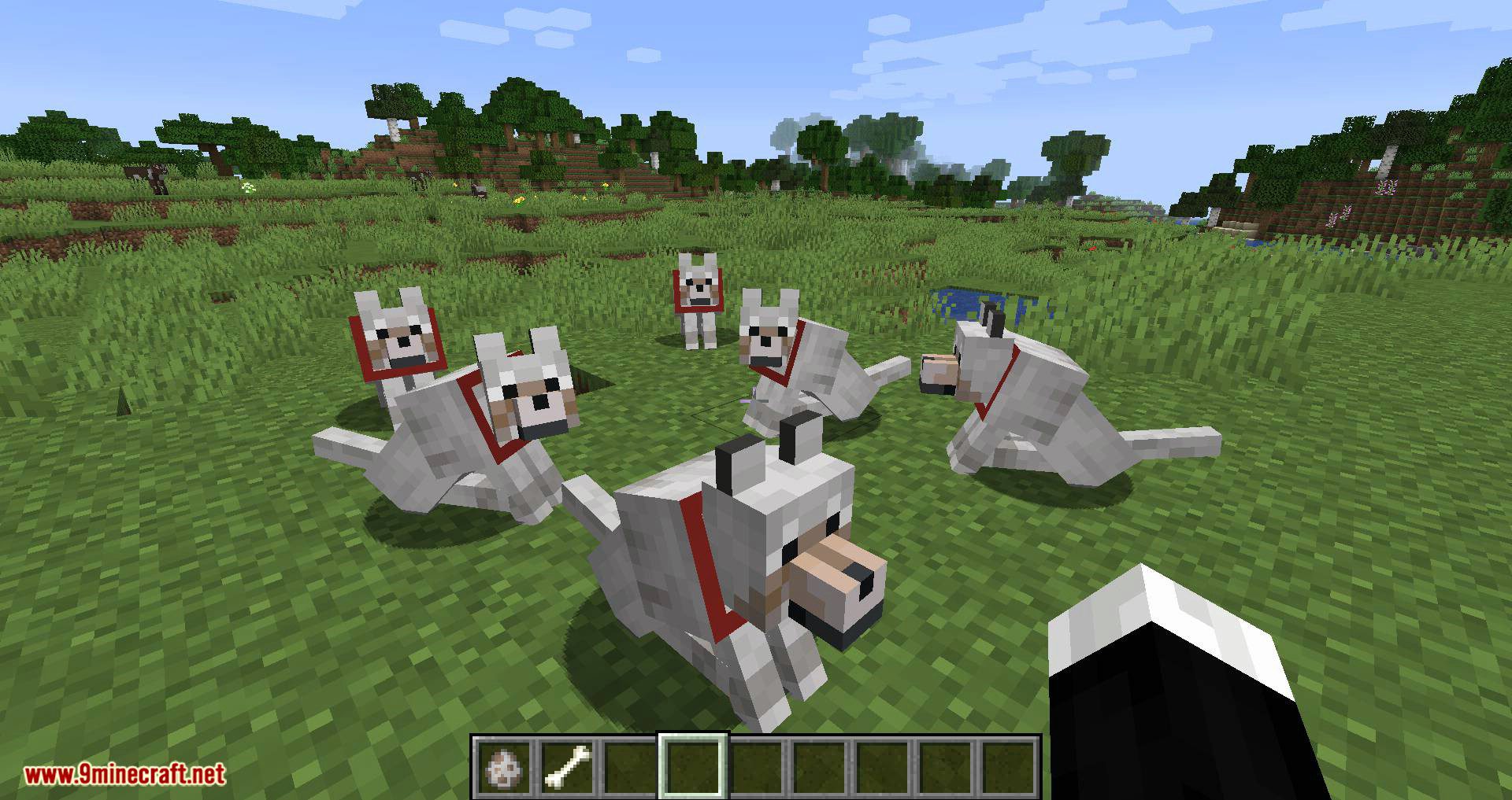 Let Sleeping Dogs Lie mod for minecraft 05