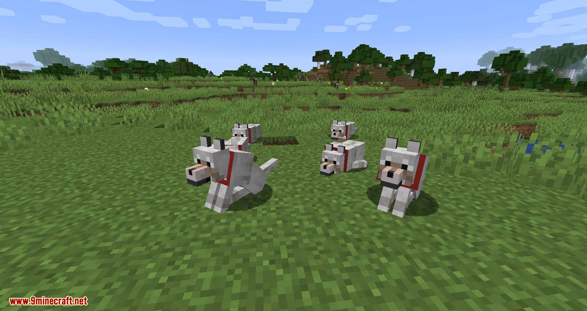 Let Sleeping Dogs Lie mod for minecraft 07