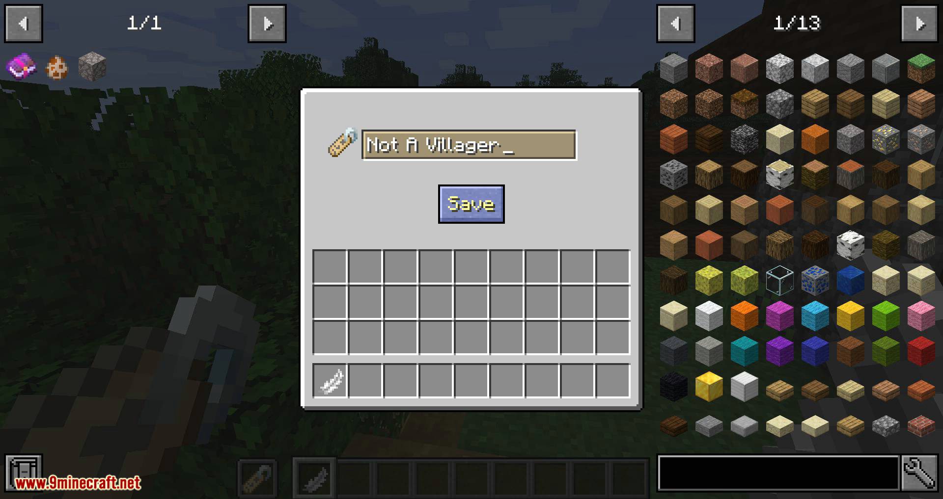 Nametags Without Anvils mod for minecraft 09