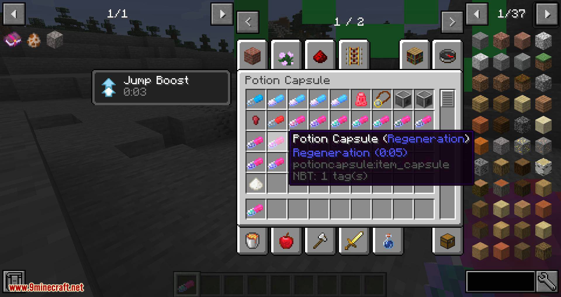 Potion Capsule mod for minecraft 11
