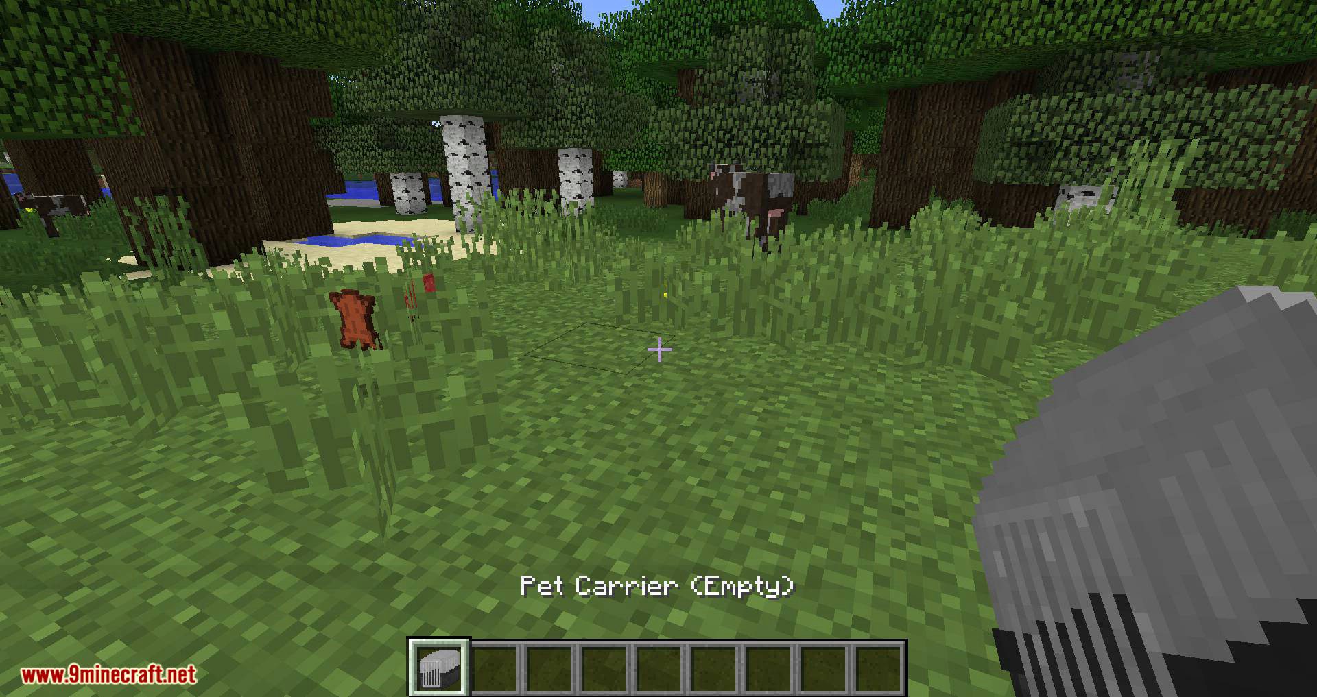 Simply Cats mod for minecraft 01