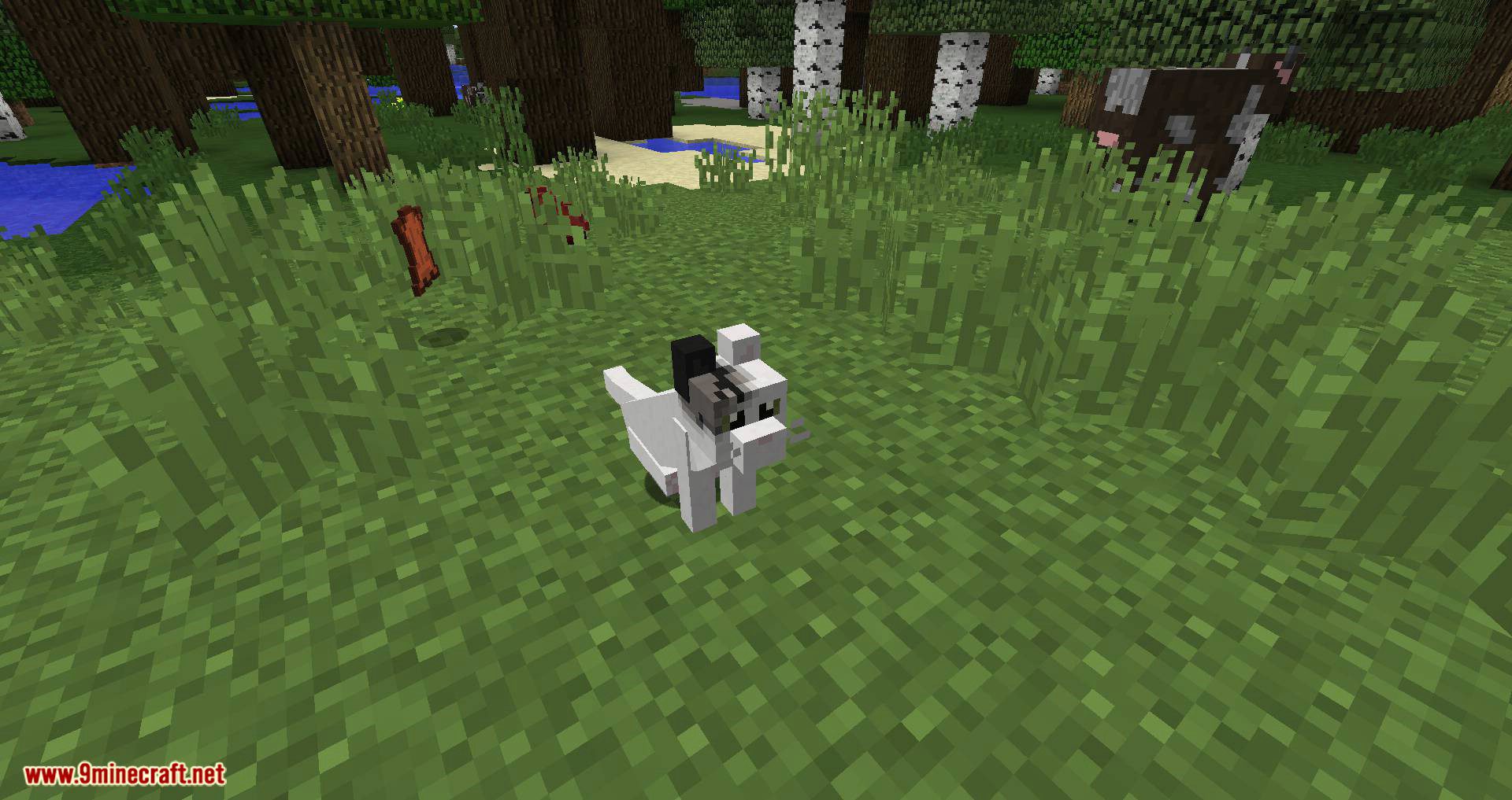 Simply Cats mod for minecraft 02