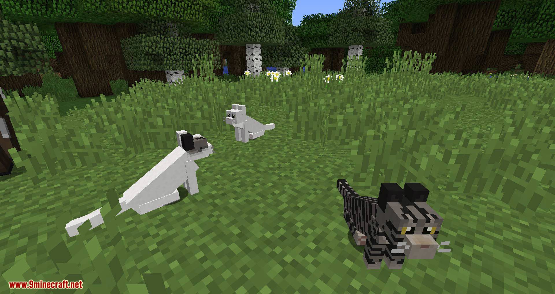 Simply Cats mod for minecraft 03