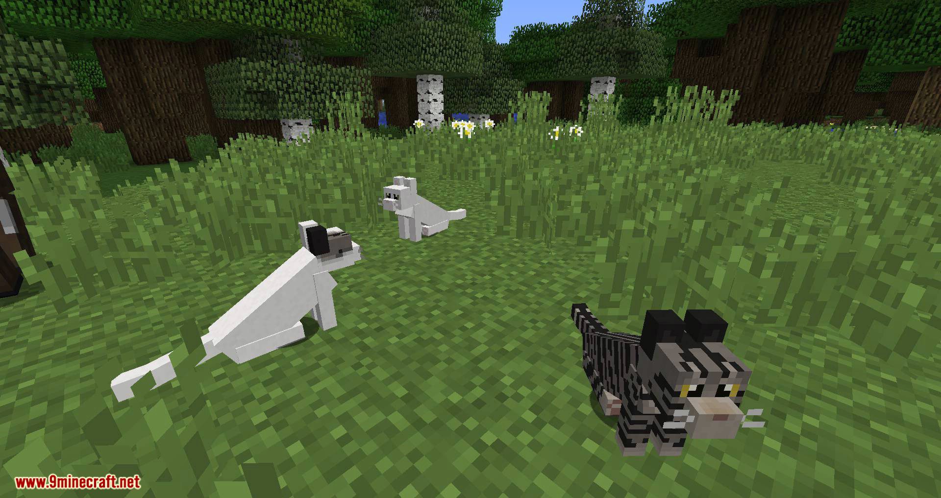 Simply Cats mod for minecraft 03.