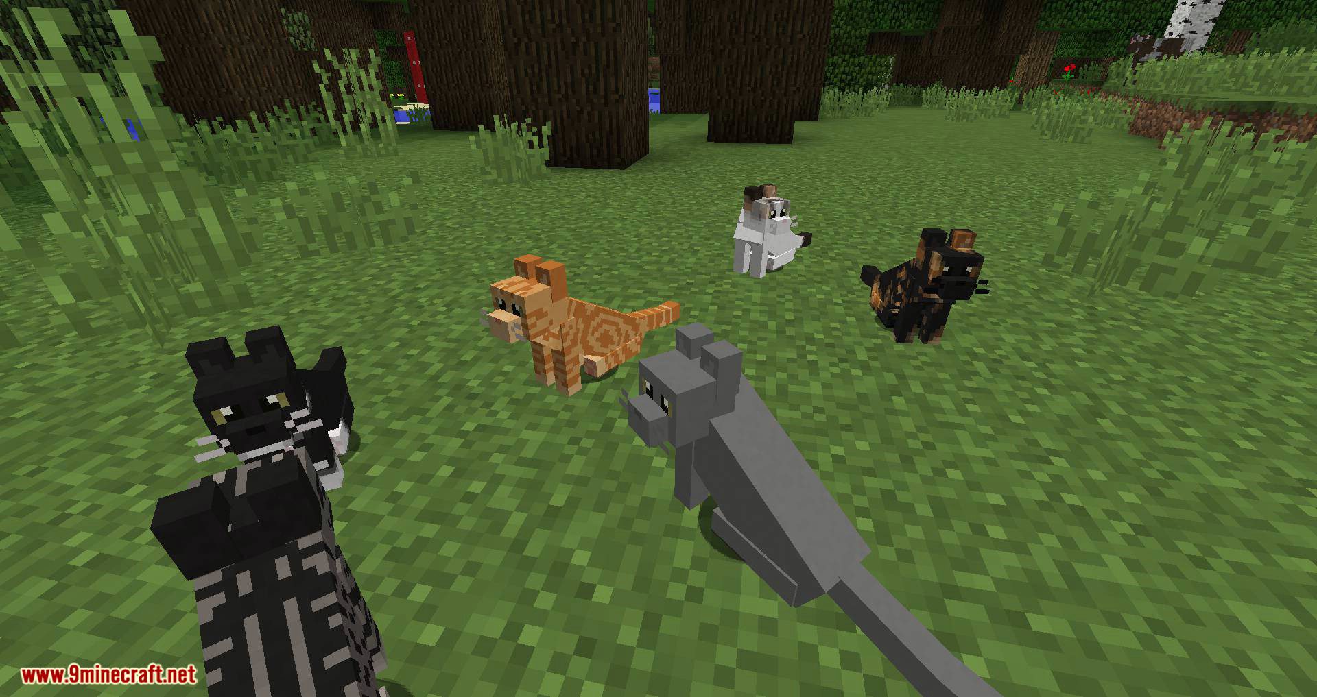 Simply Cats mod for minecraft 04