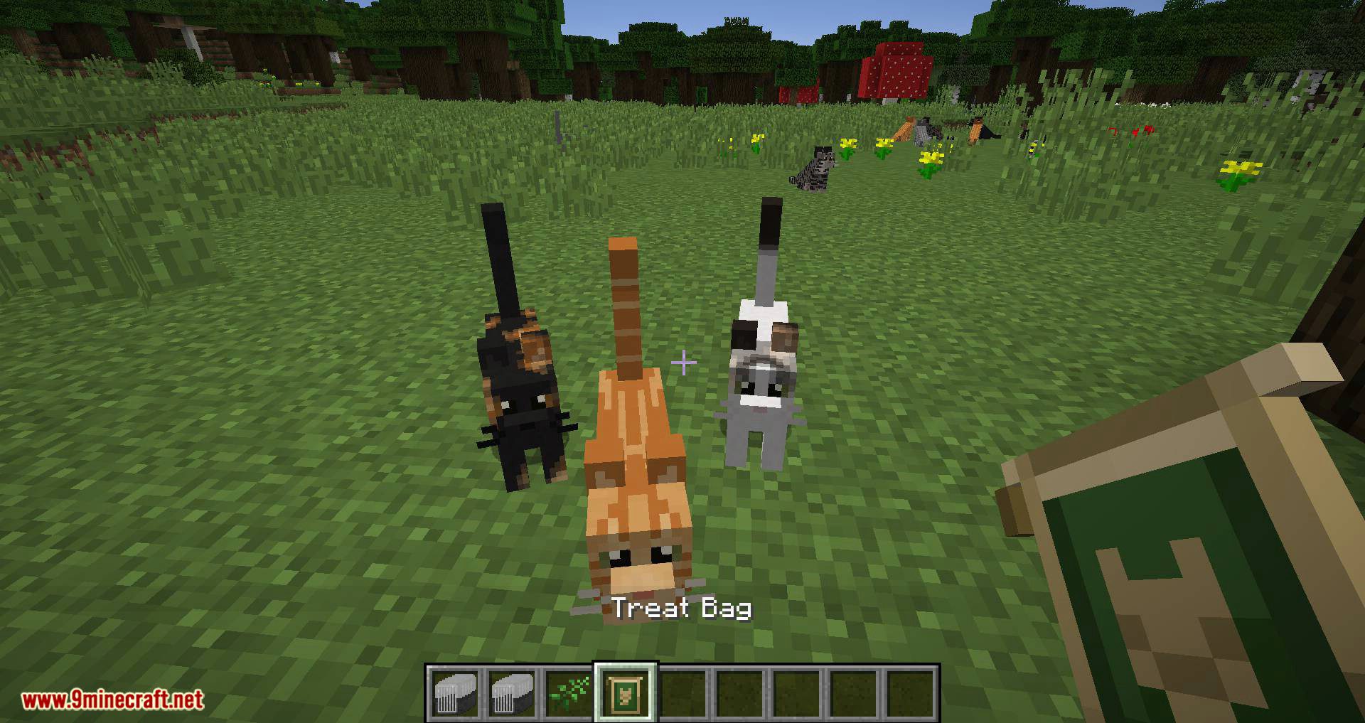 Simply Cats mod for minecraft 05
