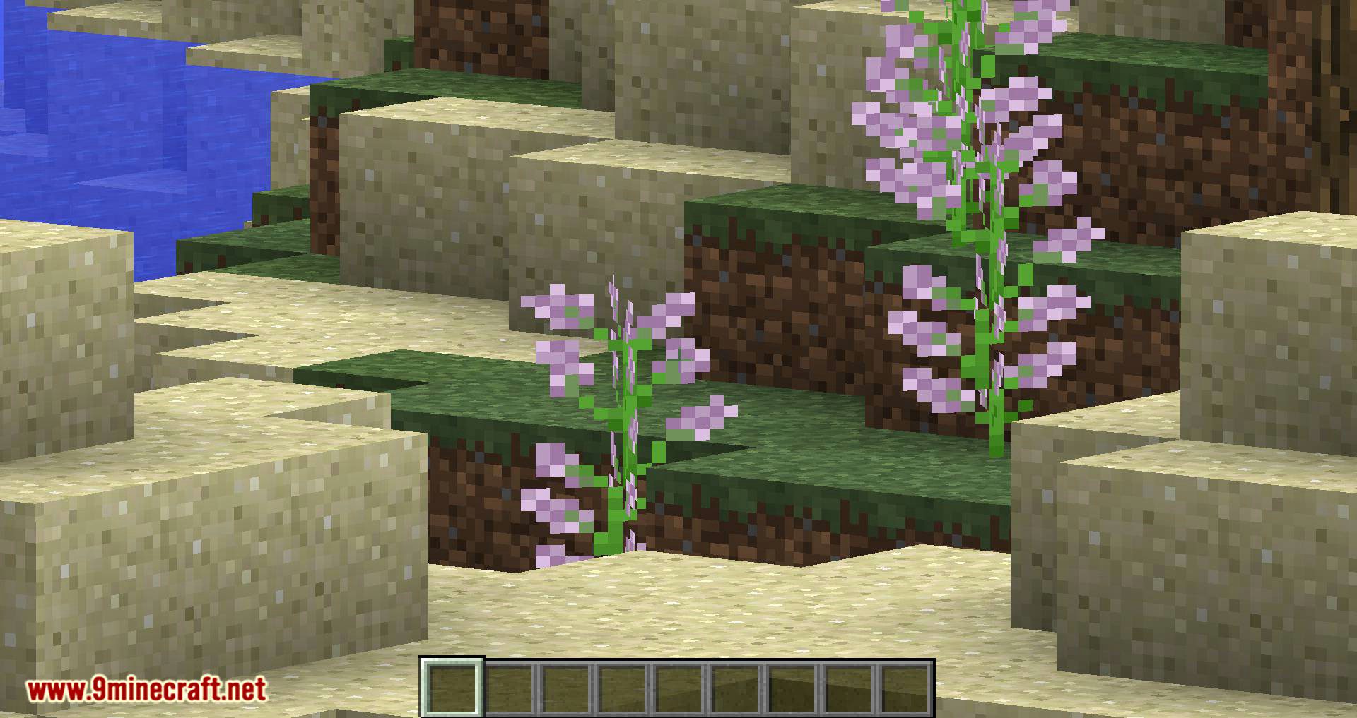 Smooth Zoom mod for minecraft 02