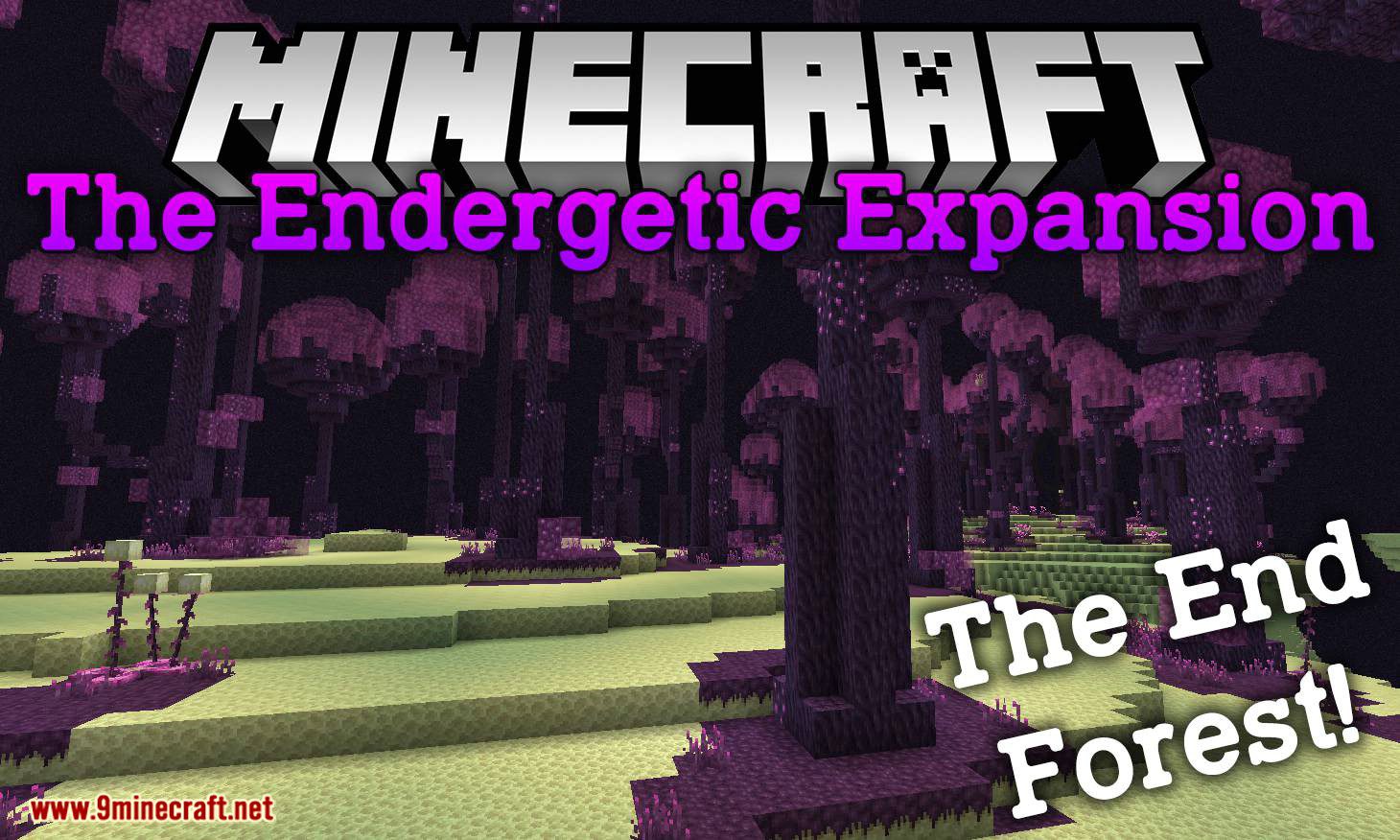 Outer End (Minecraft Mod Showcase) Endergetic Expansion 