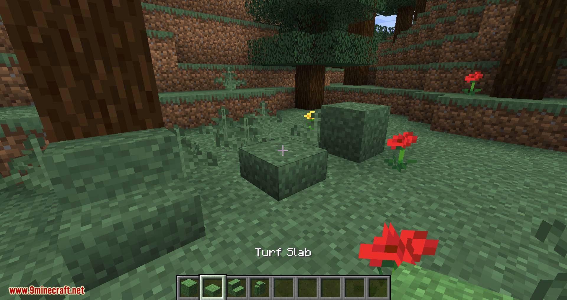 Turf mod for minecraft 02