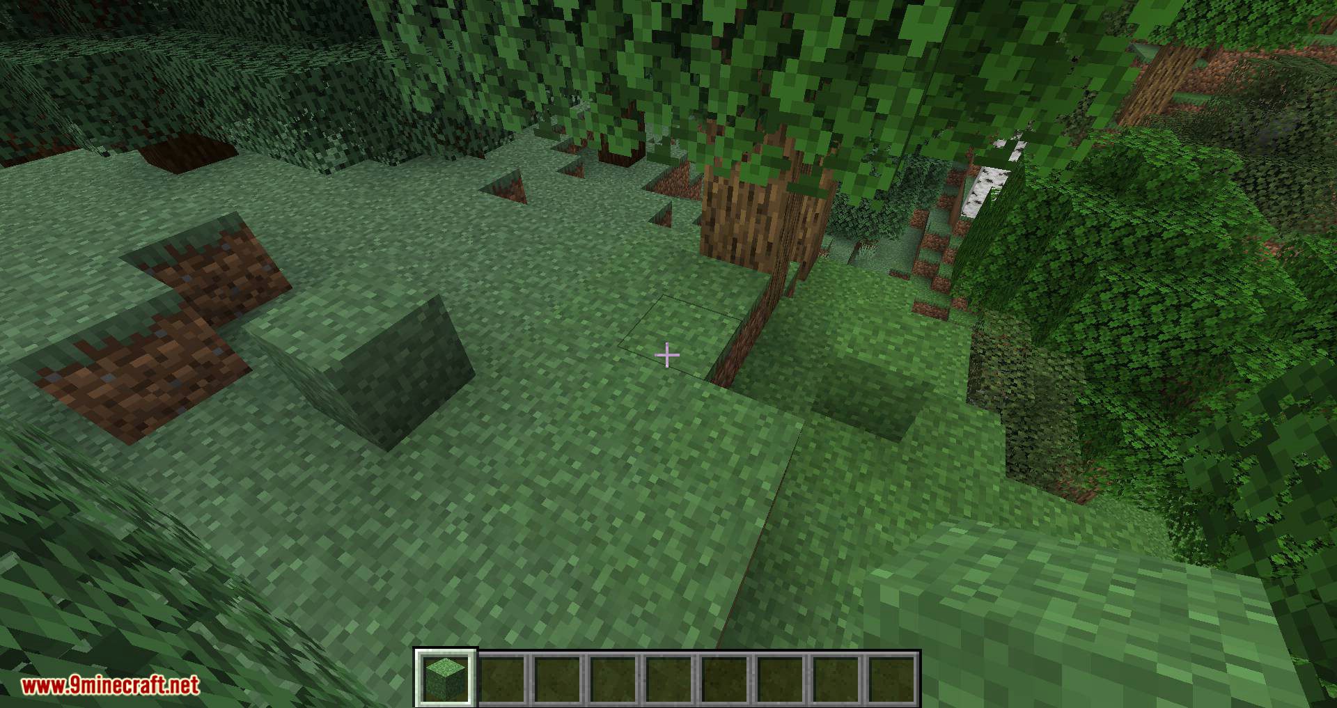 Turf mod for minecraft 10