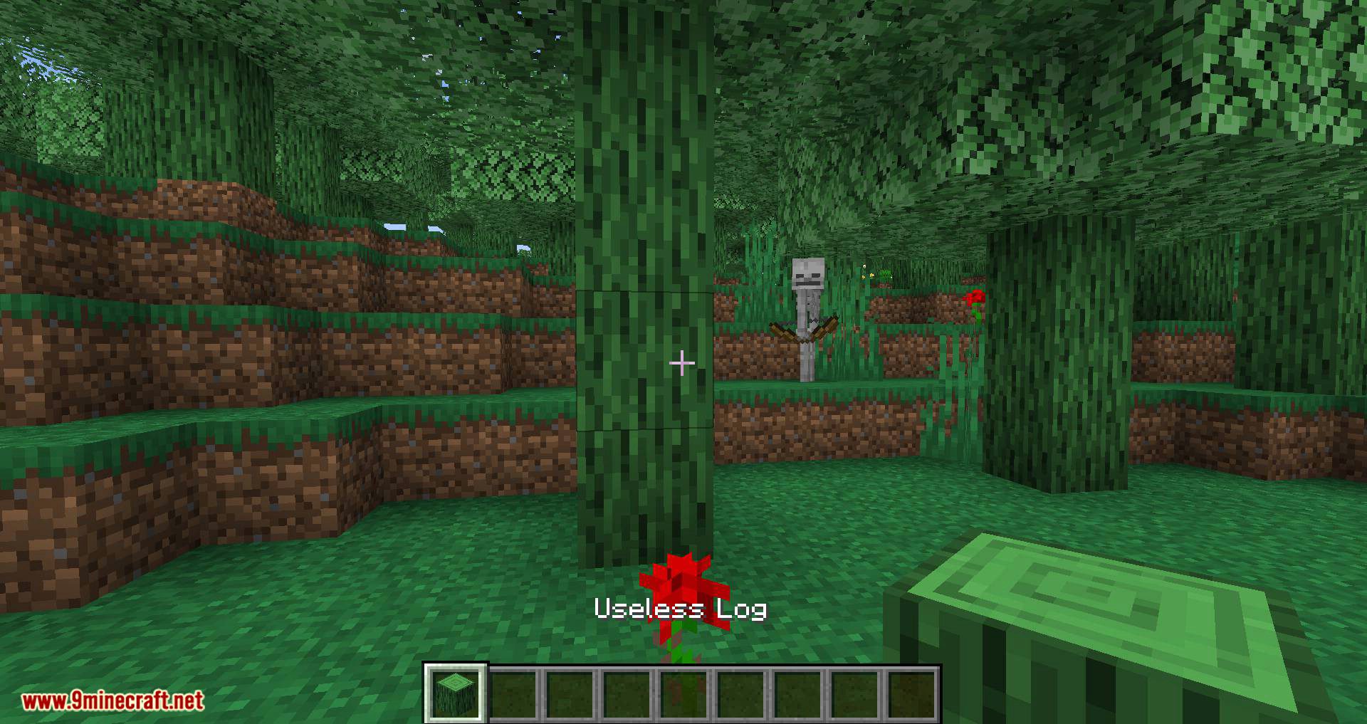 Useless Mod for minecraft 03