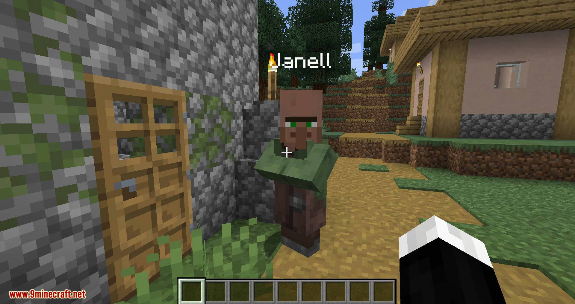 Villager Names mod for minecraft 06