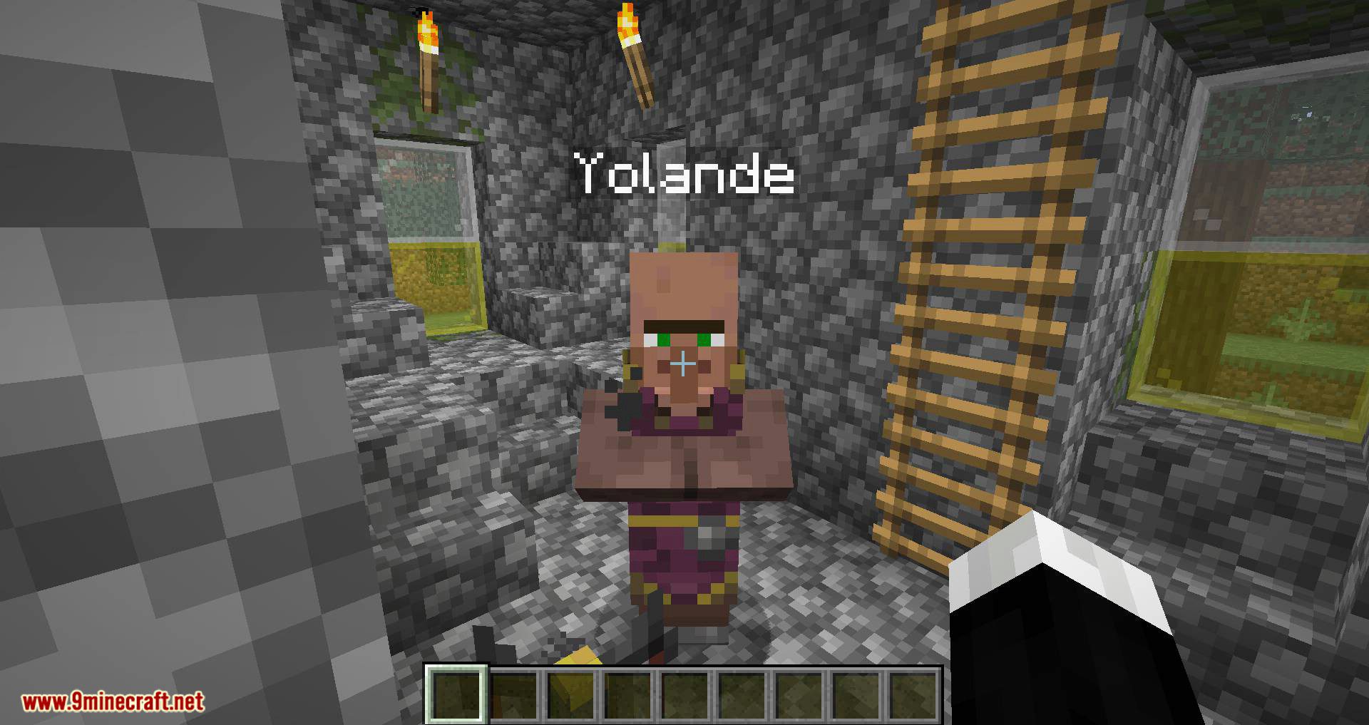 Villager Names mod for minecraft 07
