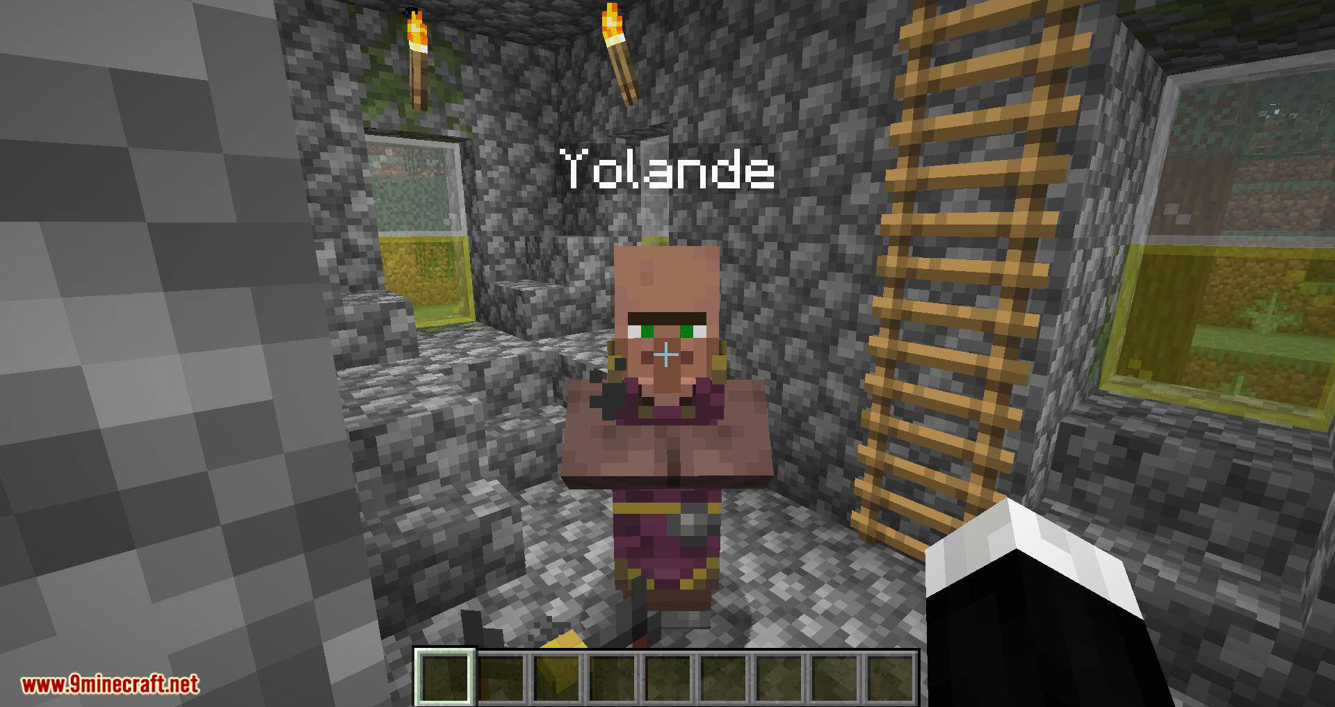 Villager Names mod for minecraft 07