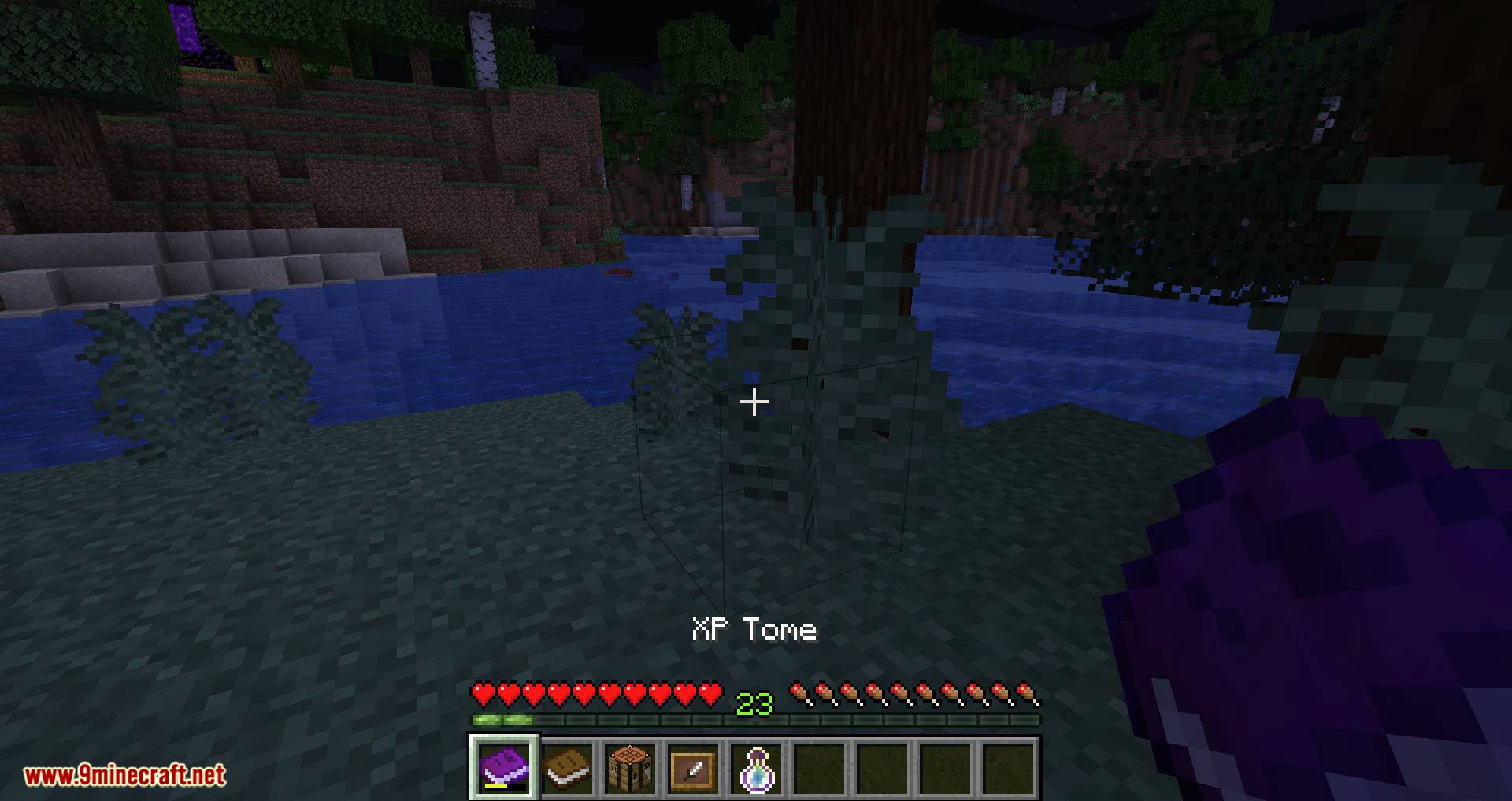 XP Tome mod for minecraft 07