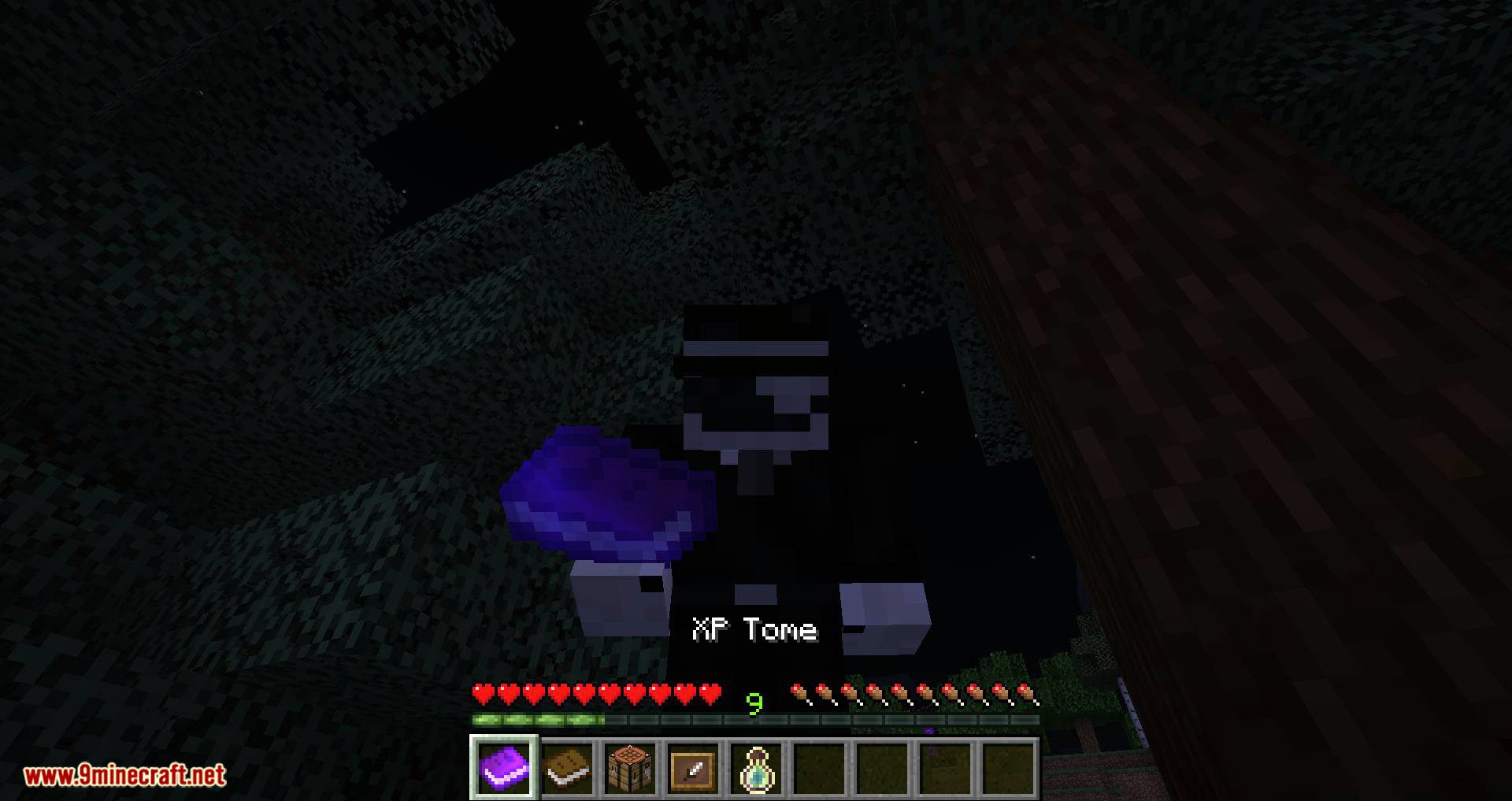 XP Tome mod for minecraft 10