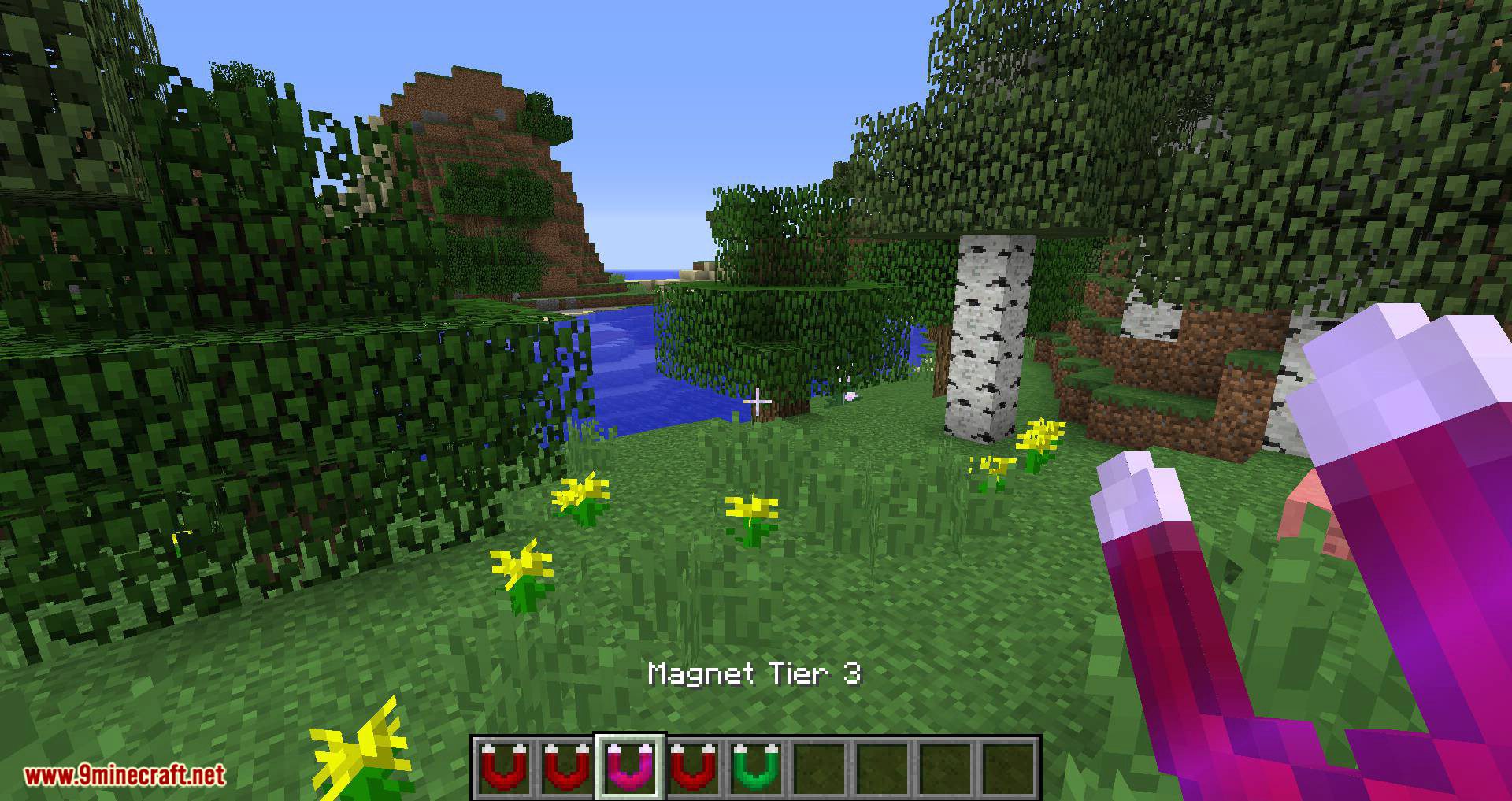 Better Magnets mod for minecraft 02