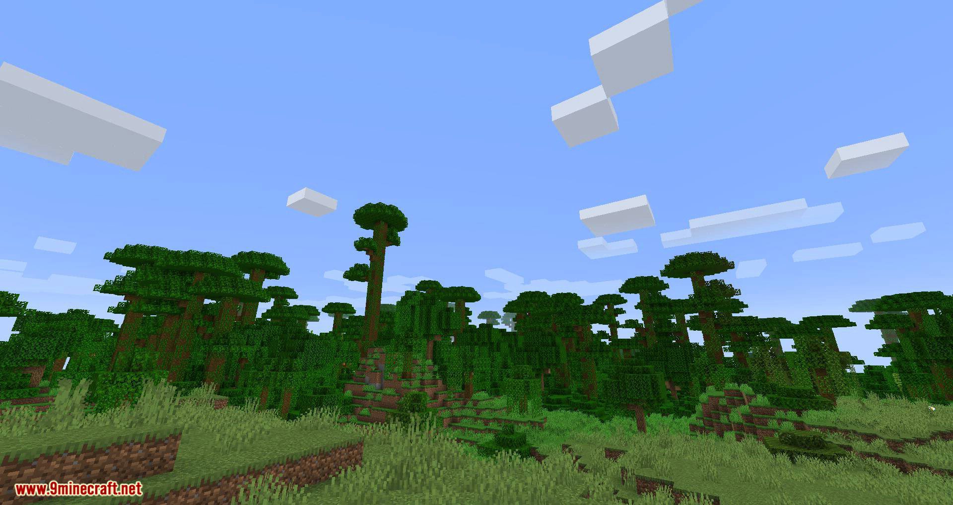 Canvas Renderer mod for minecraft 03