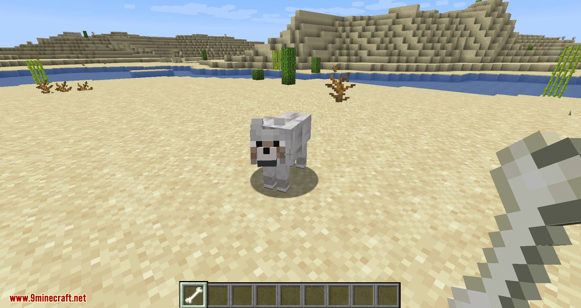 Collar Catcher mod for minecraft 01