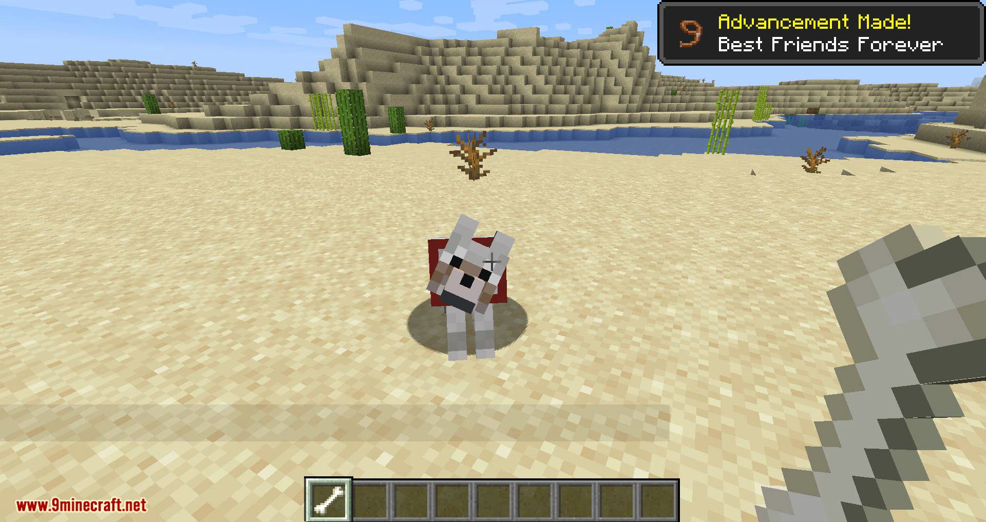 Collar Catcher mod for minecraft 02