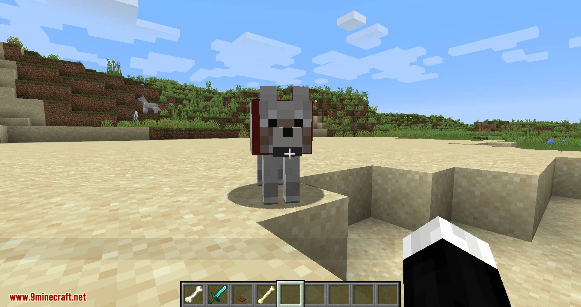 Collar Catcher mod for minecraft 10