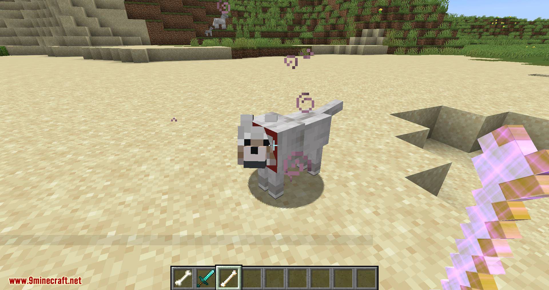 Collar Catcher mod for minecraft 14