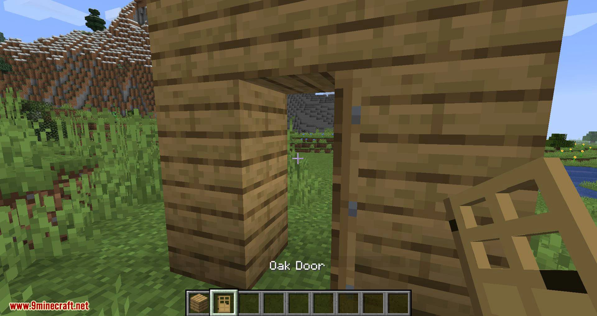 Double Doors mod for minecraft 02