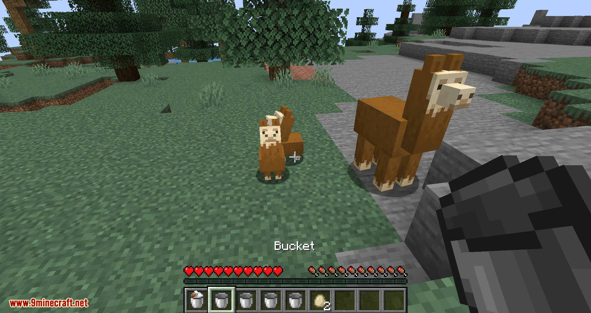 Get in the Bucket mod for minecraft 02