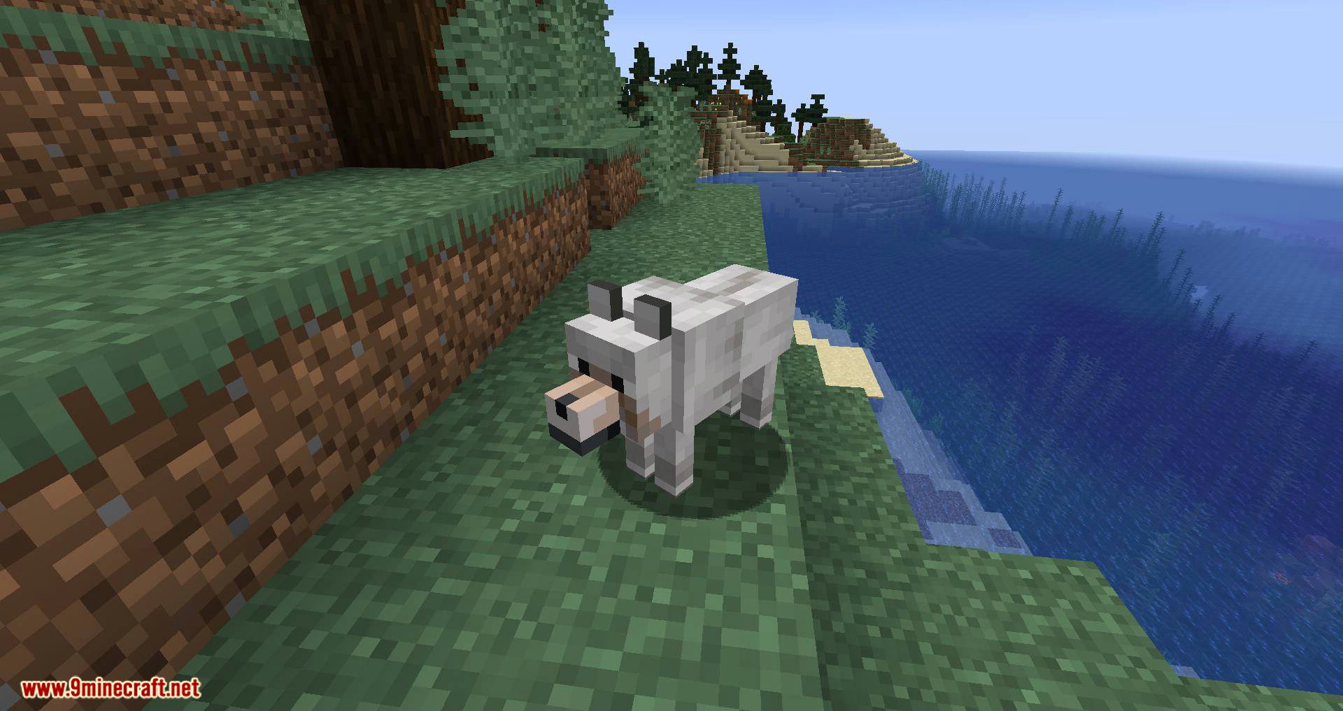 More Dogs mod for minecraft 02