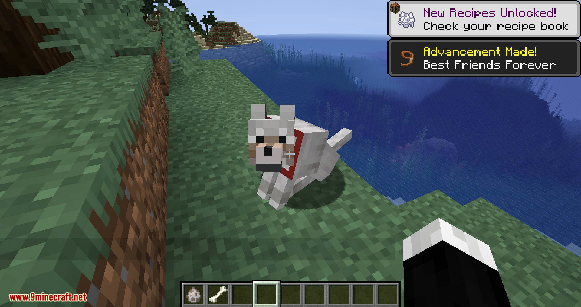 More Dogs mod for minecraft 03