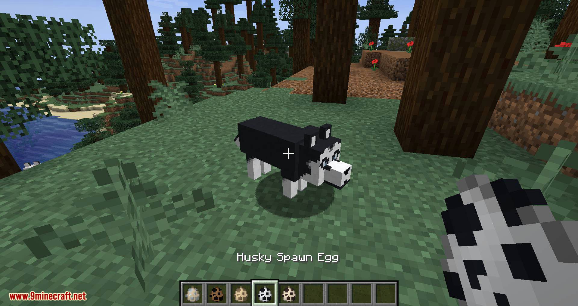 More Dogs mod for minecraft 07