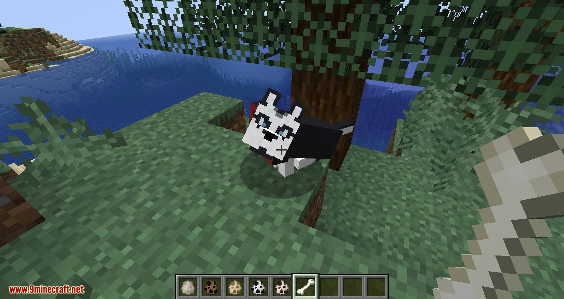 More Dogs mod for minecraft 09